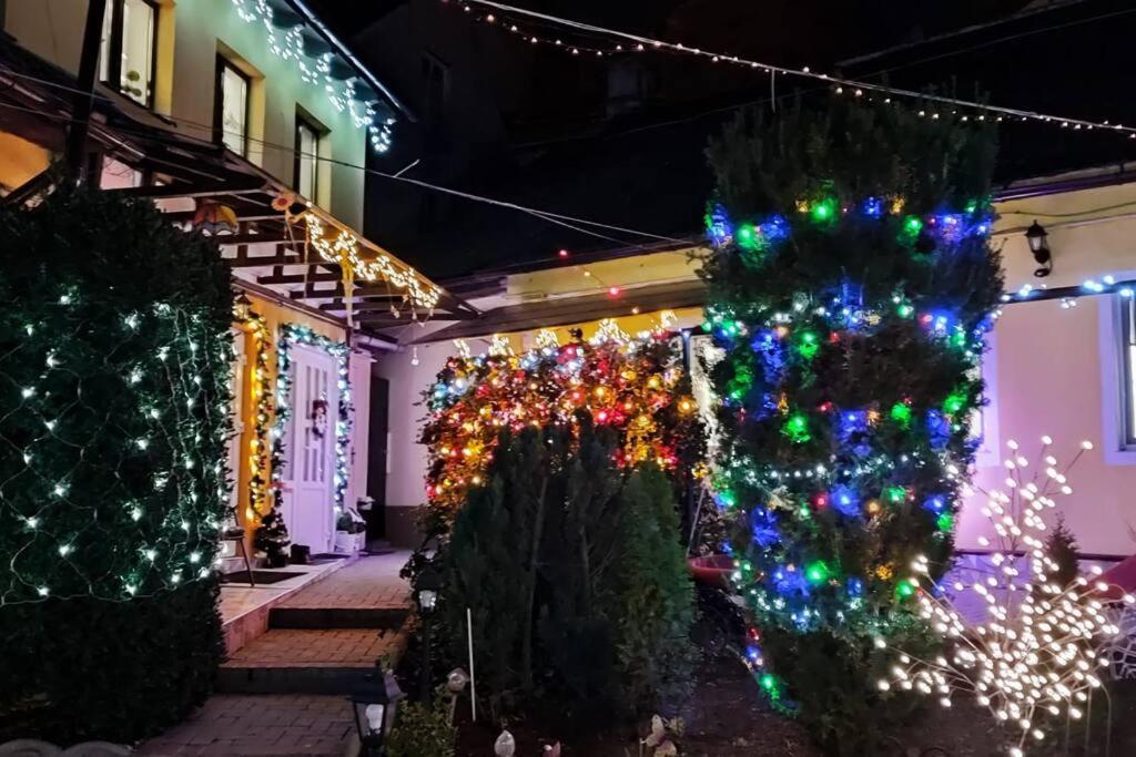 Color Home Hermannstadt 1 외부 사진