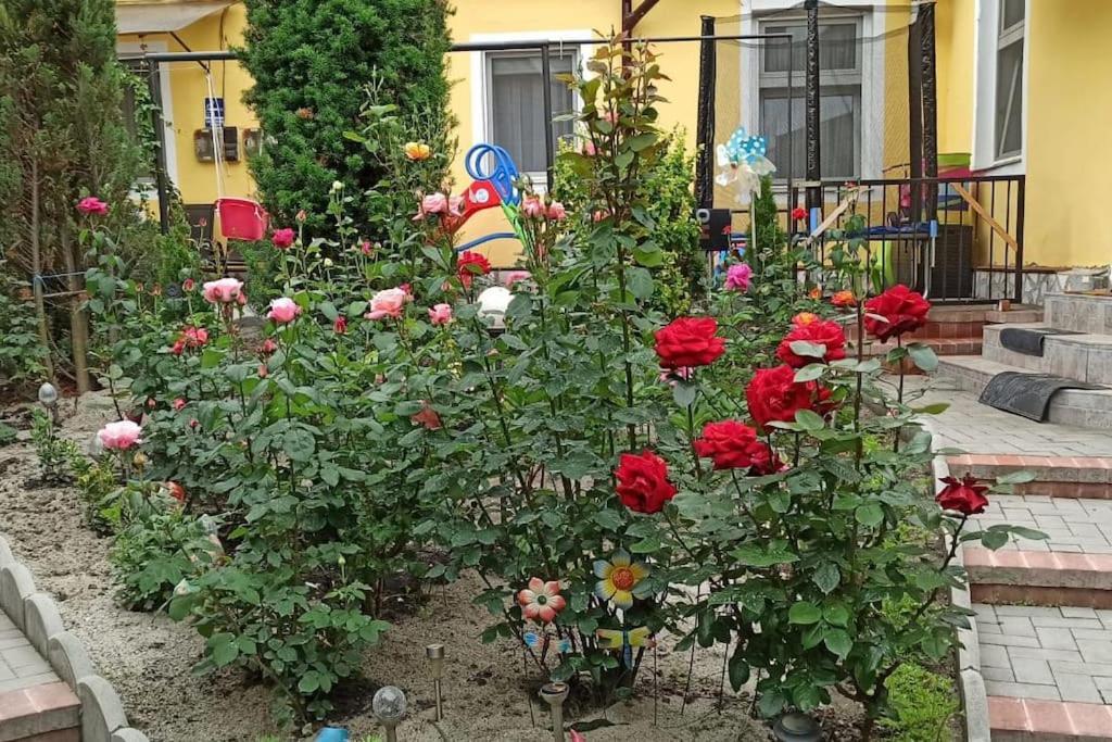 Color Home Hermannstadt 1 외부 사진