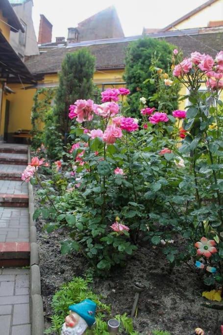 Color Home Hermannstadt 1 외부 사진