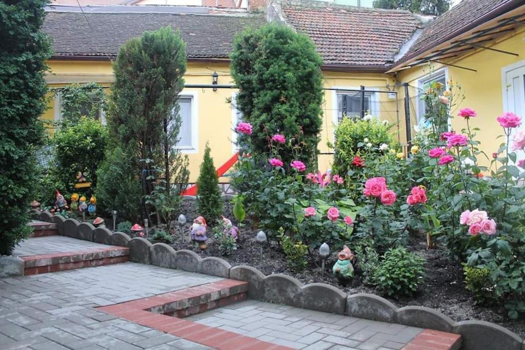 Color Home Hermannstadt 1 외부 사진